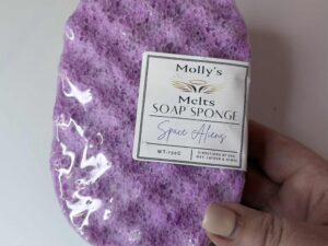Space Aliens Soap Sponge