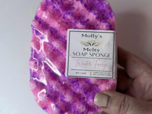 Winter Fairy Soap Sponge