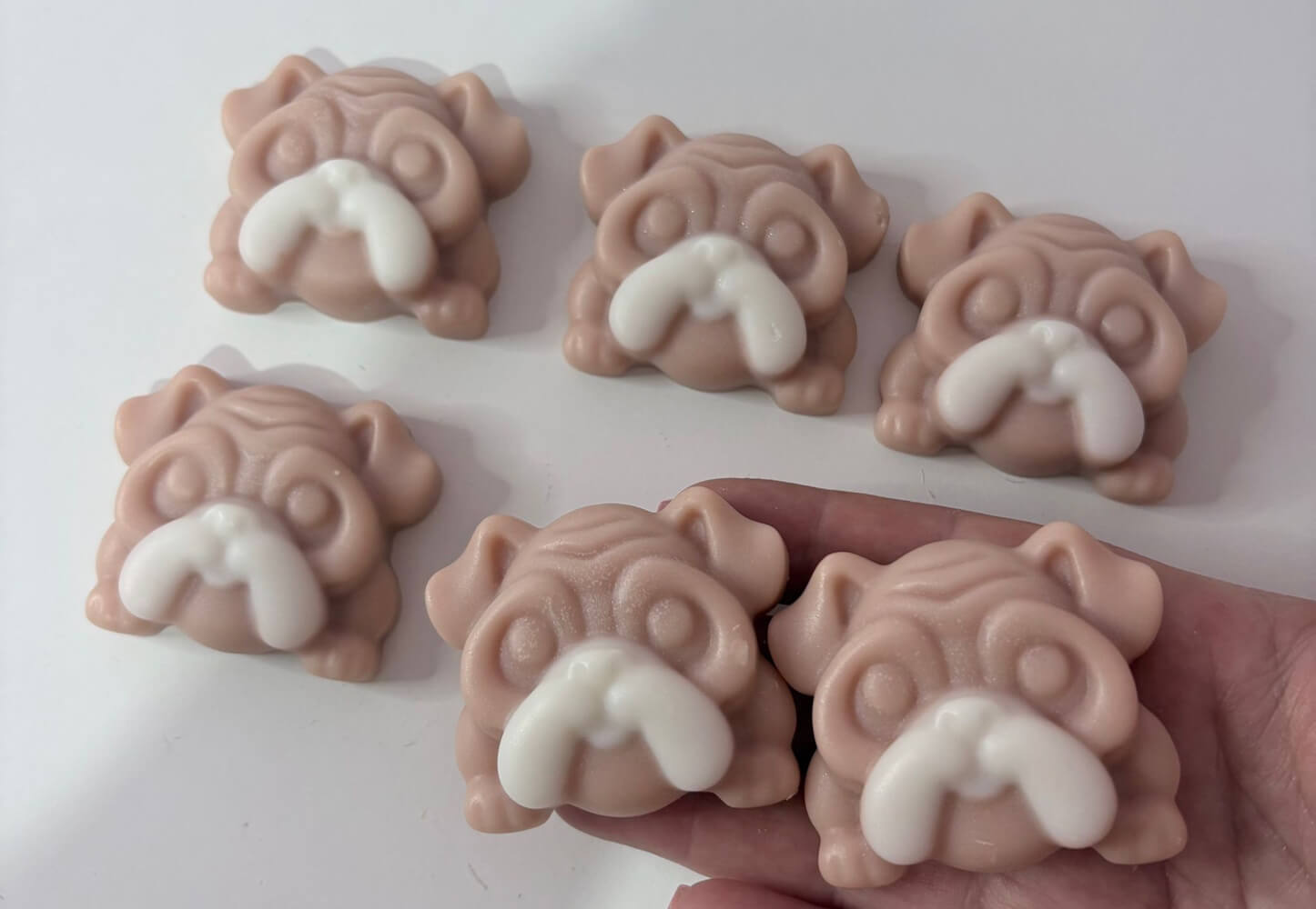 Bulldogs Wax Melts
